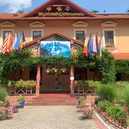 Vila Cerbul Albastru Hotell Moneasa Exteriör bild