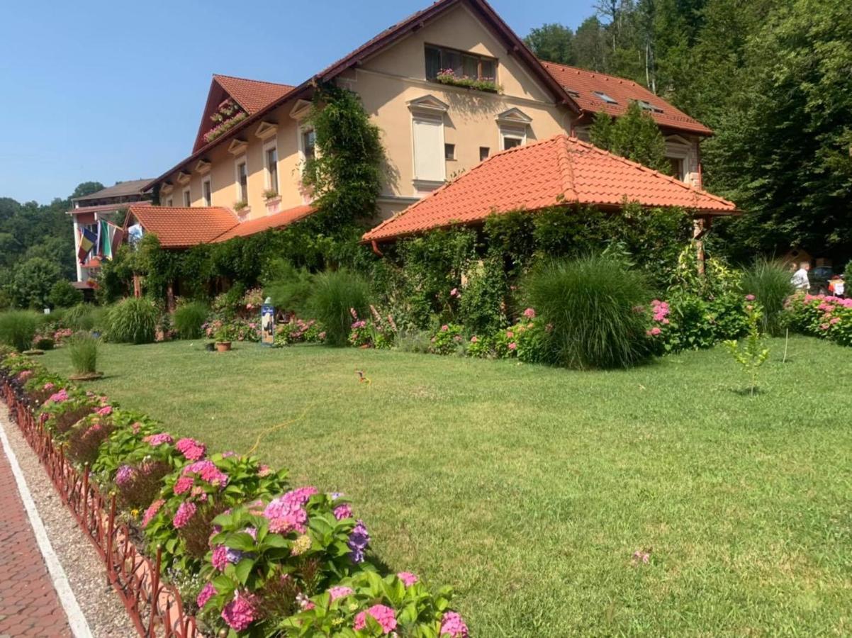 Vila Cerbul Albastru Hotell Moneasa Exteriör bild