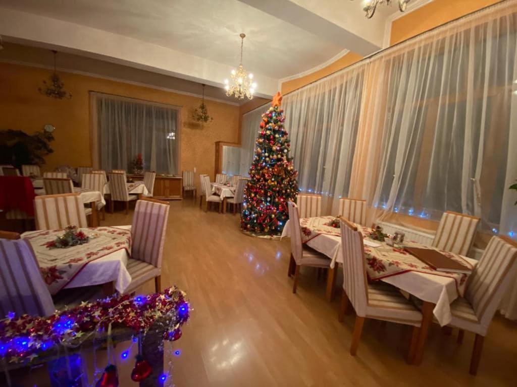 Vila Cerbul Albastru Hotell Moneasa Exteriör bild