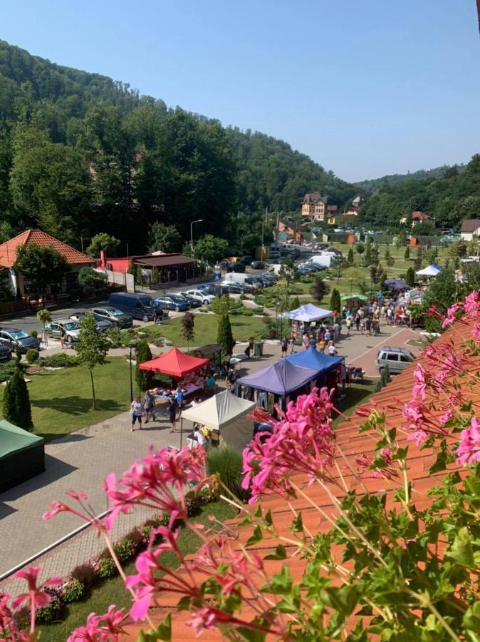 Vila Cerbul Albastru Hotell Moneasa Exteriör bild