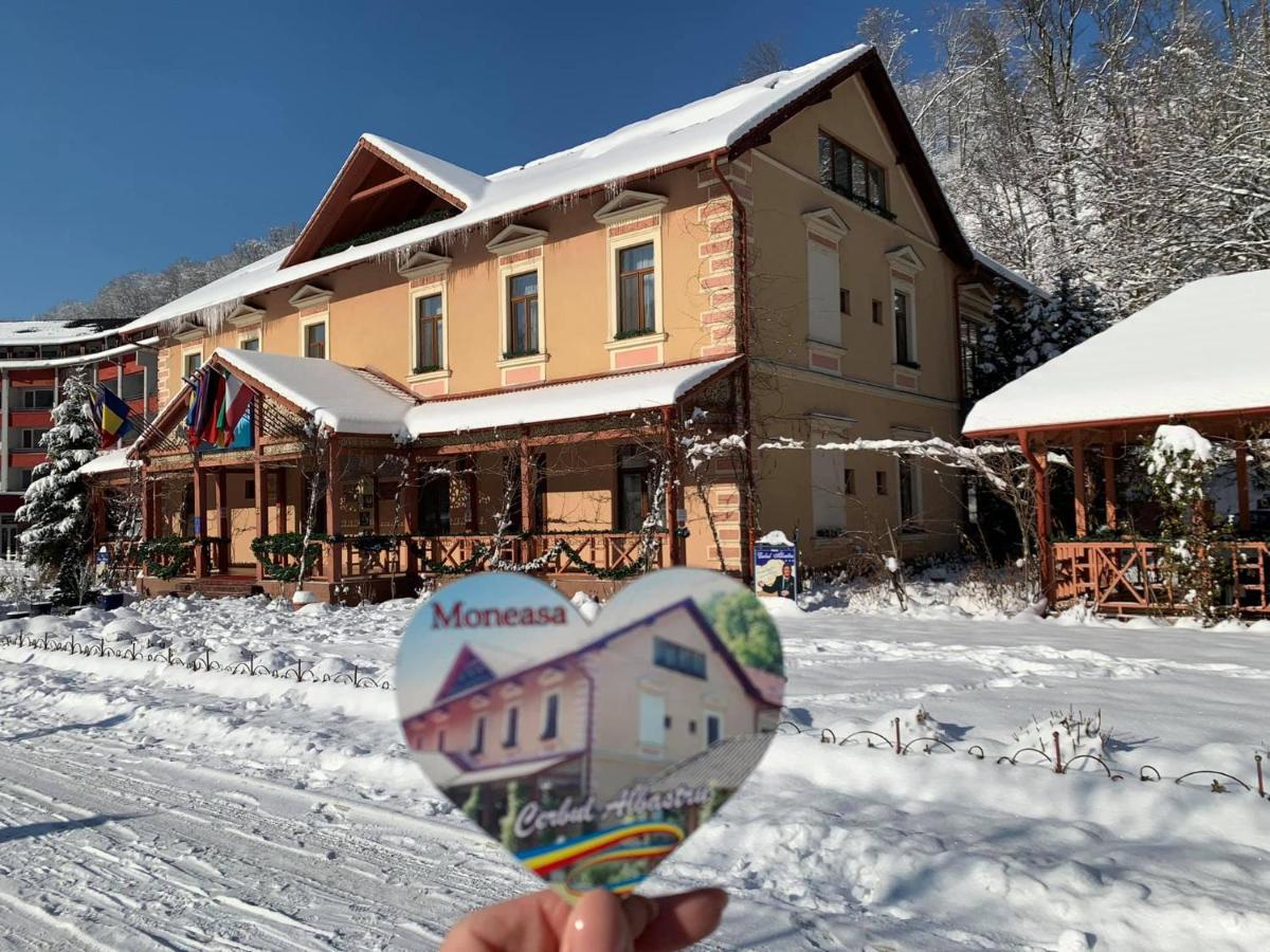 Vila Cerbul Albastru Hotell Moneasa Exteriör bild