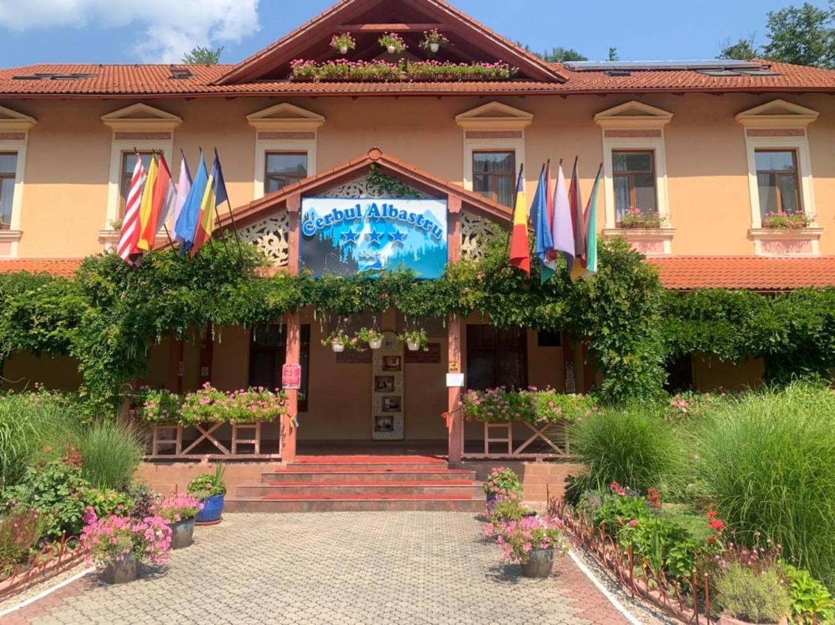 Vila Cerbul Albastru Hotell Moneasa Exteriör bild