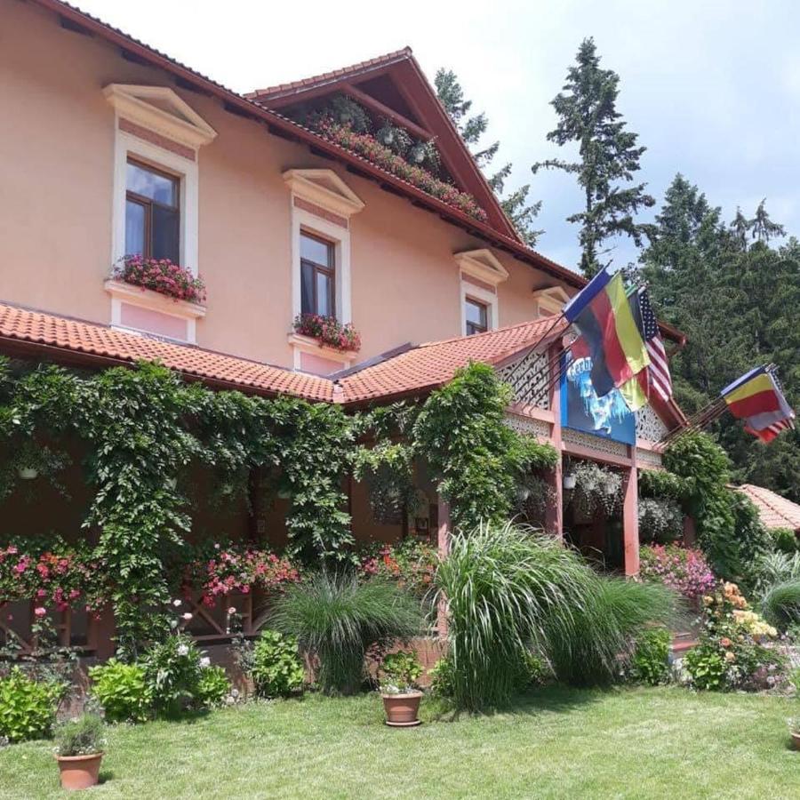 Vila Cerbul Albastru Hotell Moneasa Exteriör bild